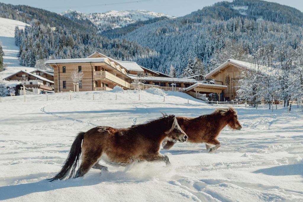 Mariengut - Natur Aparthotel Kramer Wagrain Bagian luar foto