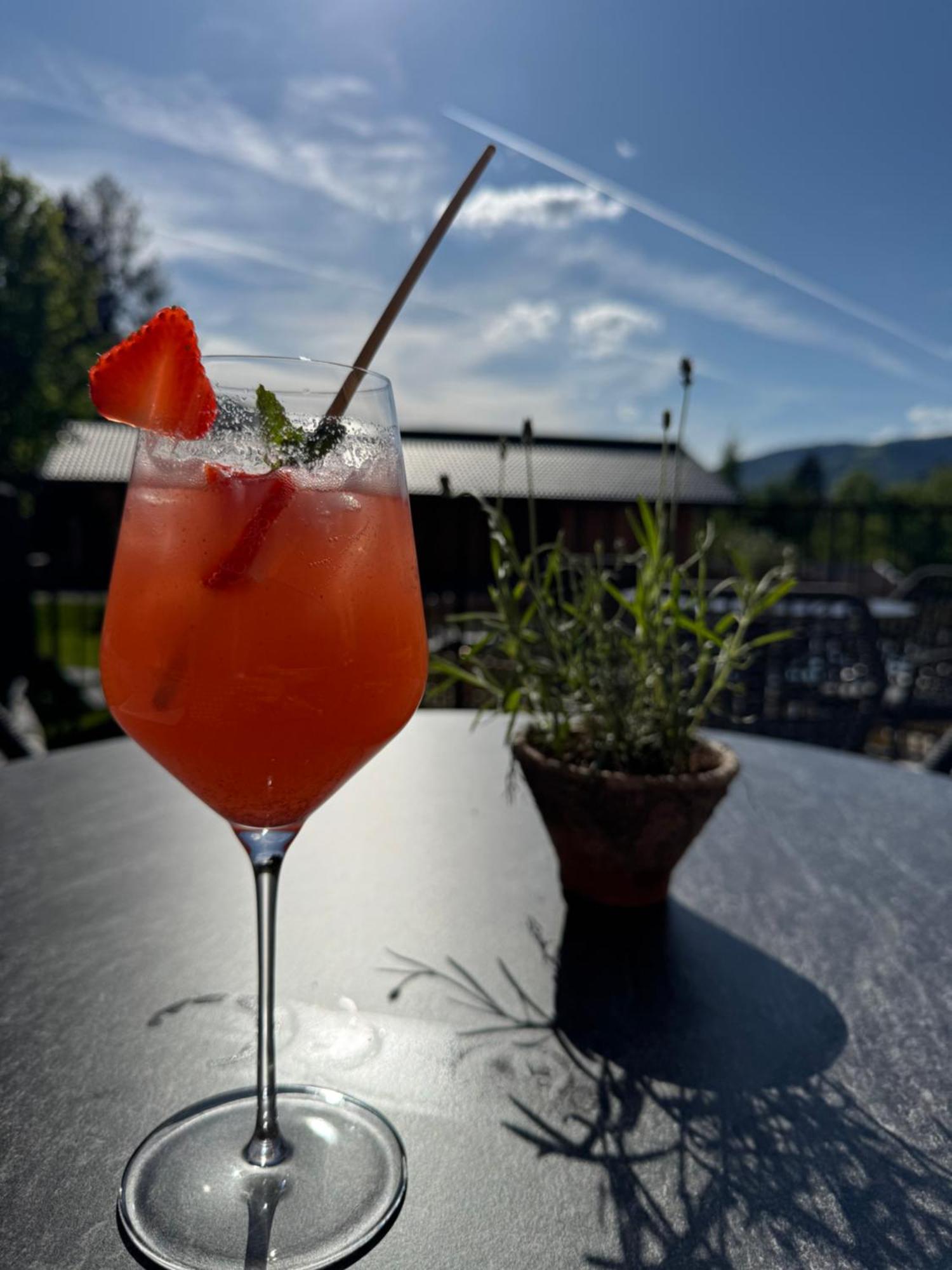 Mariengut - Natur Aparthotel Kramer Wagrain Bagian luar foto